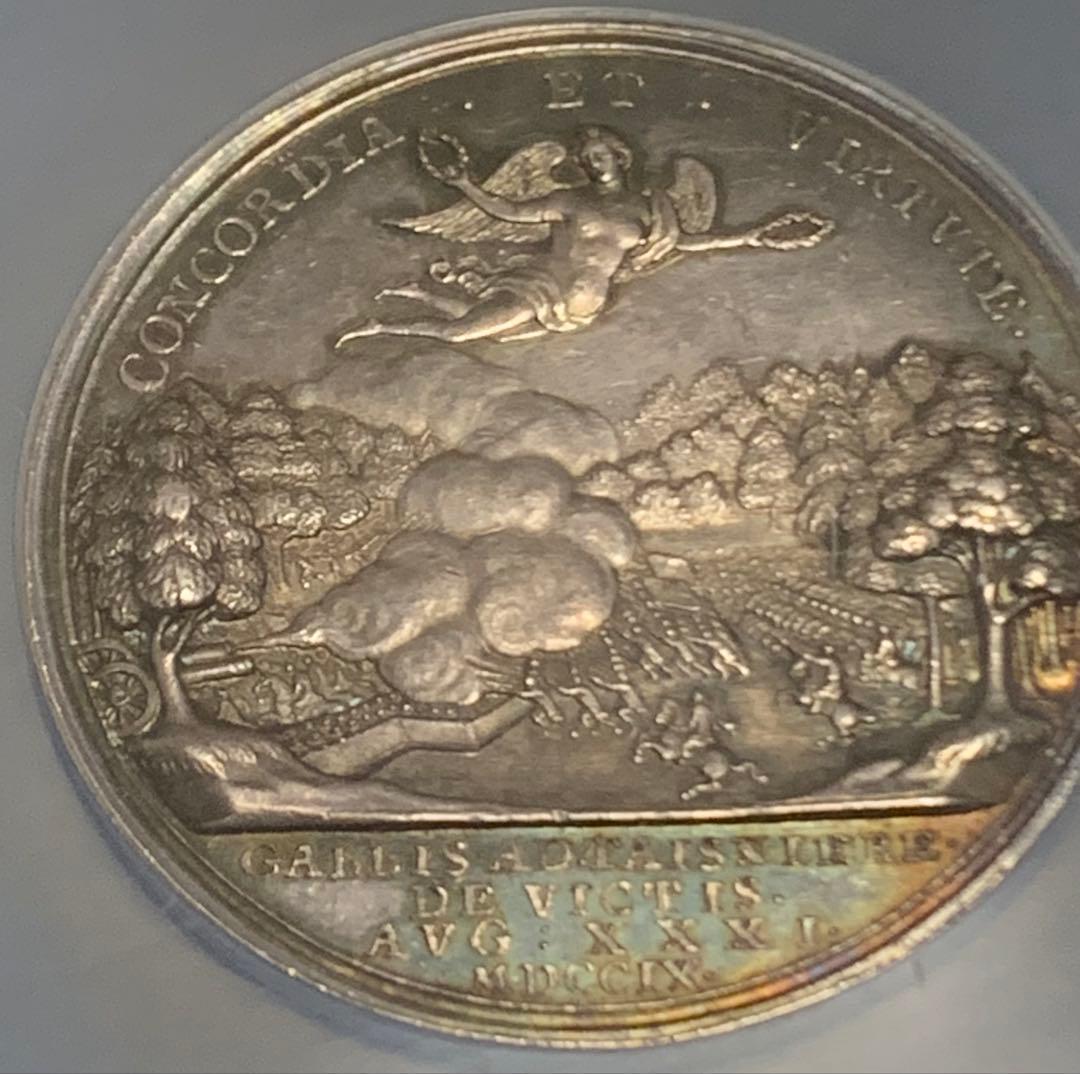 値下しました❗️アン女王　マルプラケの戦い　トーン！　シルバーメダル特大スラブ