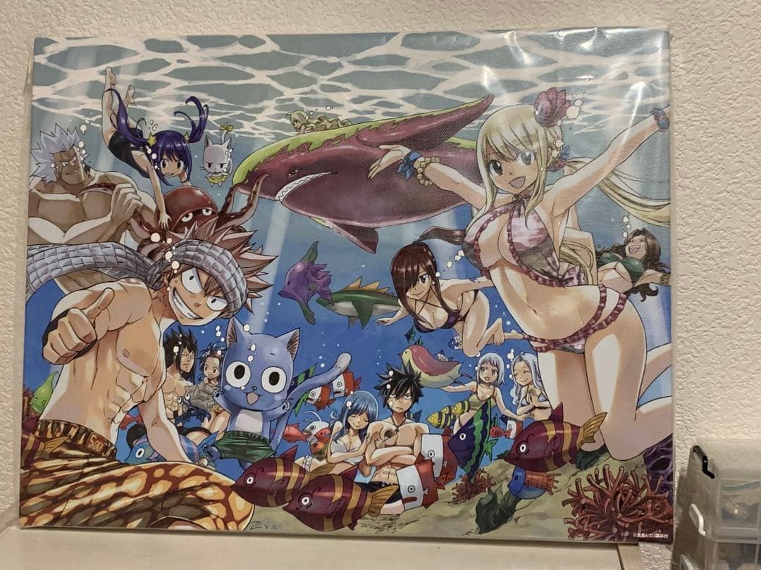 FAIRY TAIL フェアリーテイル キャンパスアート