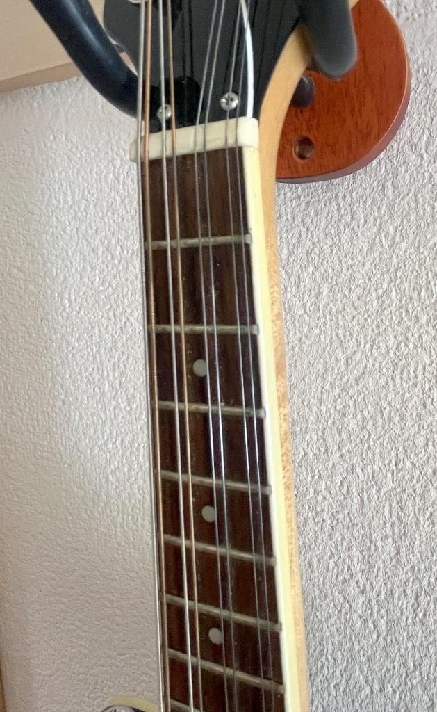 【カメ】エレキマンドリン ローズウッド指板（ソリッドボディ）