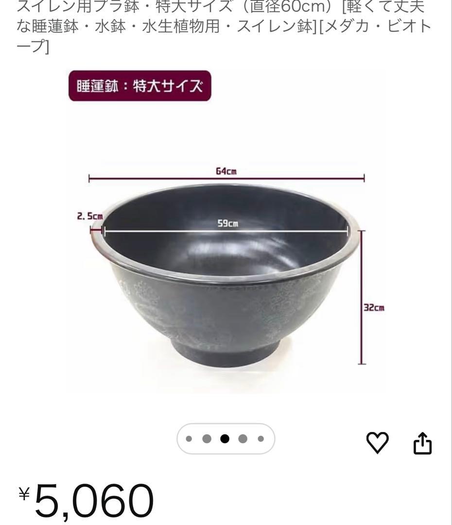 直径60cm メダカ鉢 飼育スタートセット