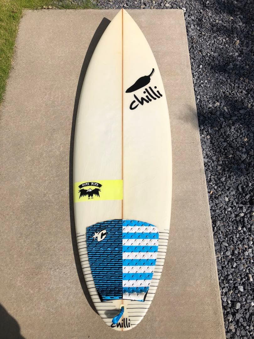 Chilli RAREBIRD   チリ　レアバード