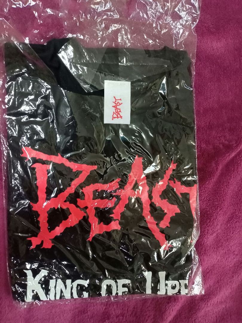 ミュージシャン BEAST