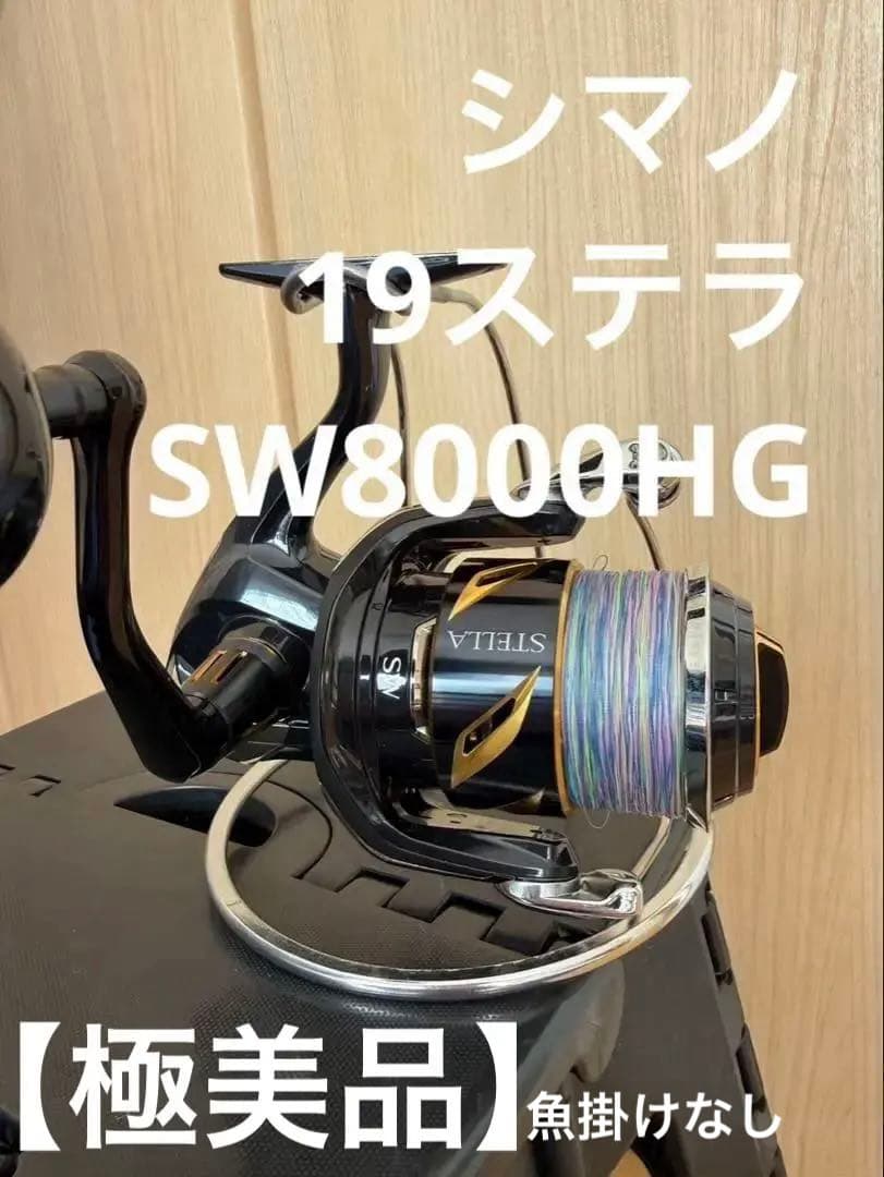 シマノ 19ステラSW8000HG 【使用1回・魚掛けなし・極美品】