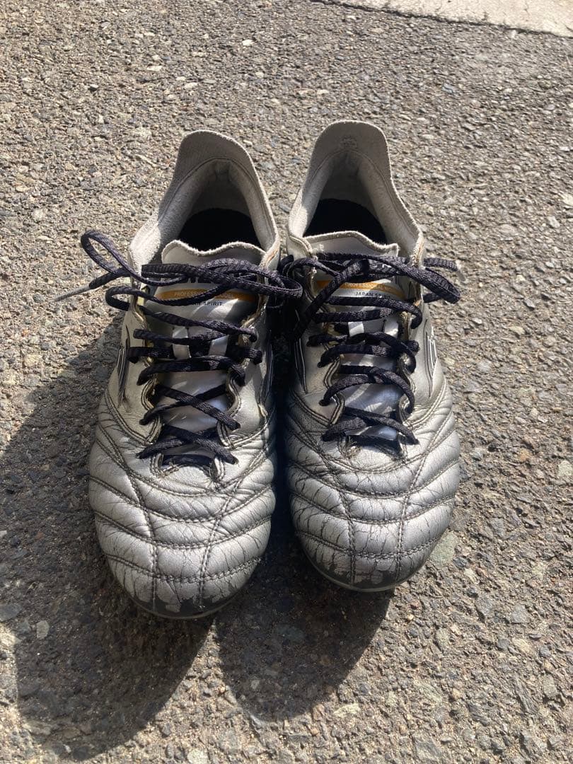 モレリアネオ　　26.0