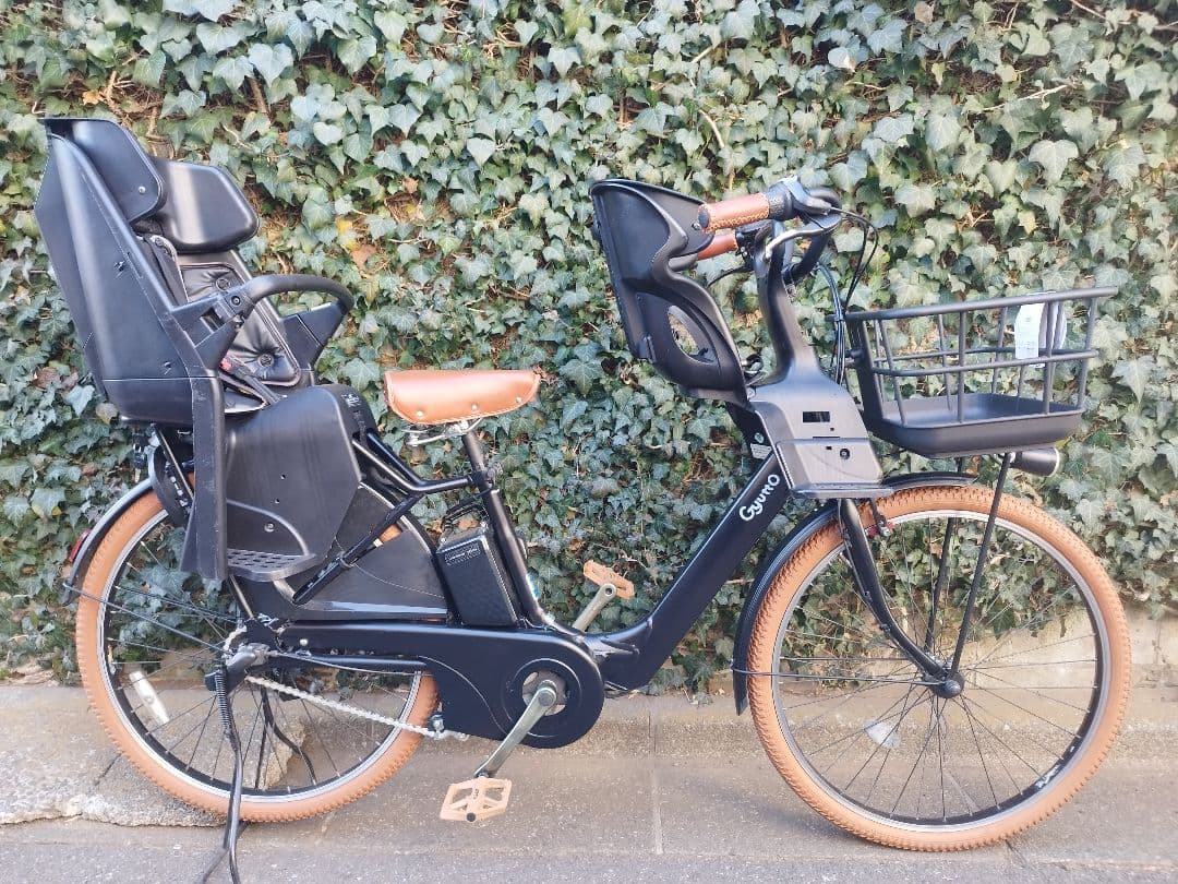 大容量16ah カラーコーデ ギュット アニーズ F・DX 3人乗り