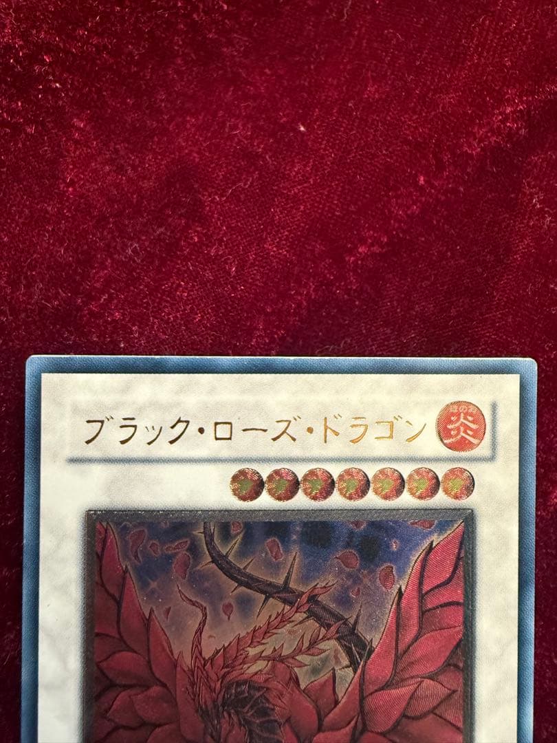 ブラックローズドラゴン レリーフ