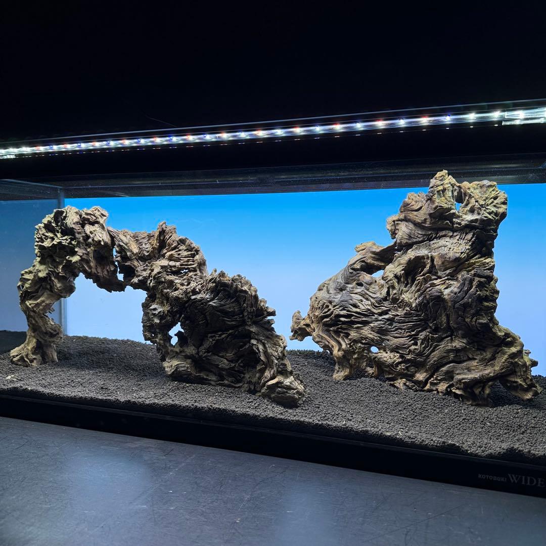 MJW-7236 「特大」ジンジャーウッド　90cm水槽用　天然流木3本セット