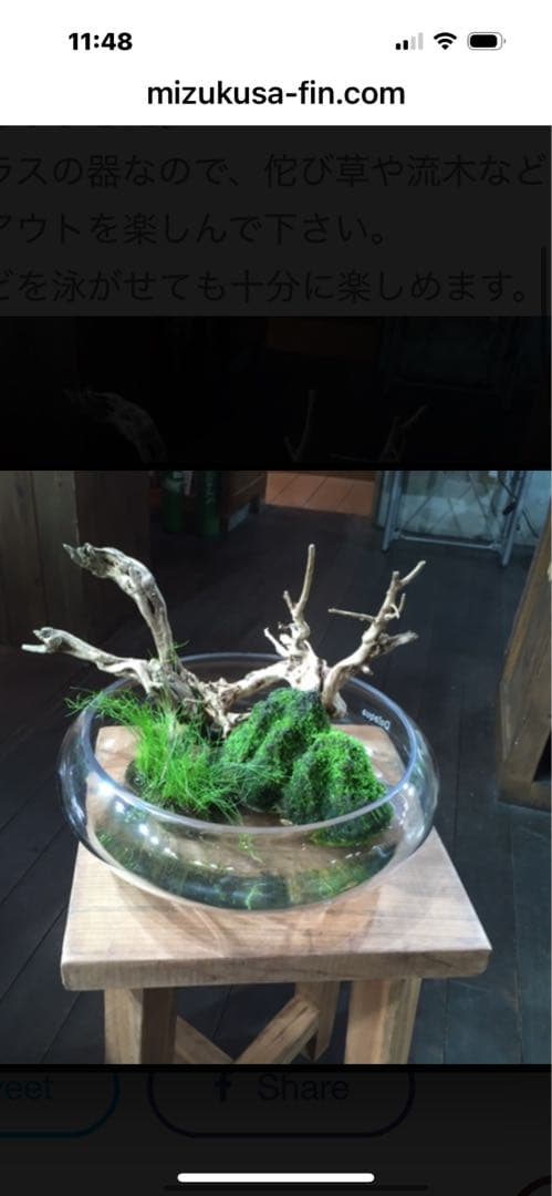 Do!aqua ガラス製円形水槽ロータス3010