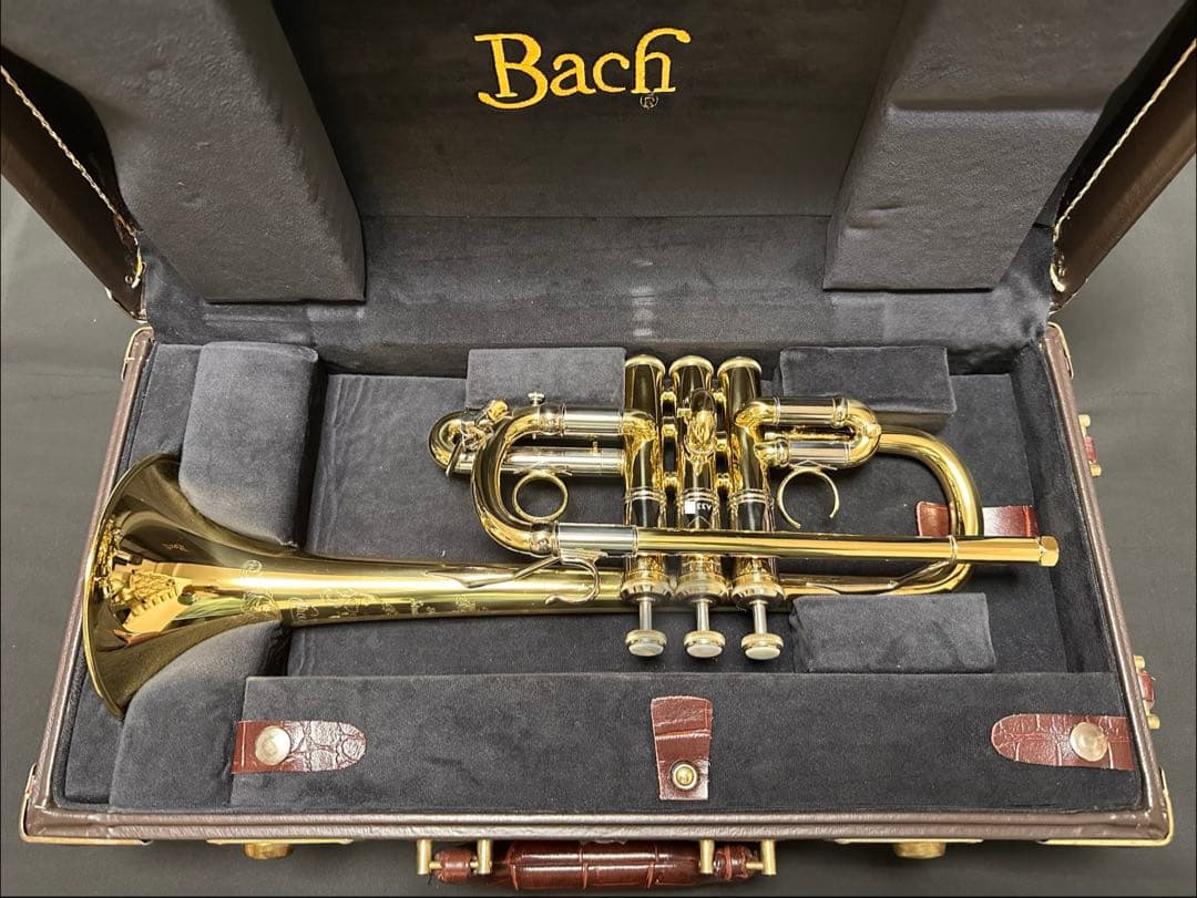 V.BachアルティザンE♭管 AE190GL 長谷川智之氏選定品 [中古]