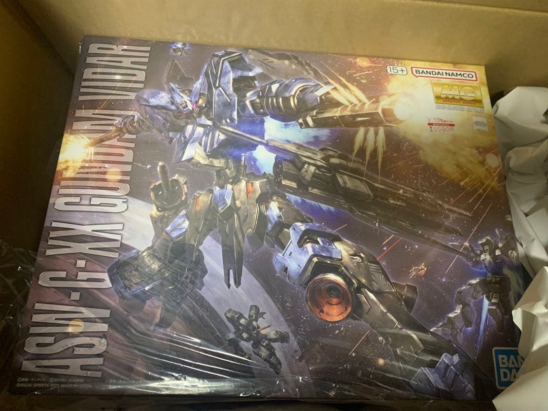 MG 1/100 ガンダム ヴィダール　機動戦士ガンダム鉄血のオルフェンズ