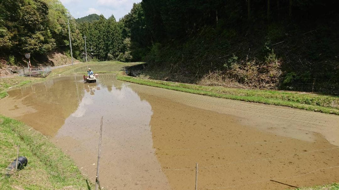 令和7年度 【湧き水栽培】農薬不使用玄米　ひとめぼれ 20㎏　奈良の農家直送
