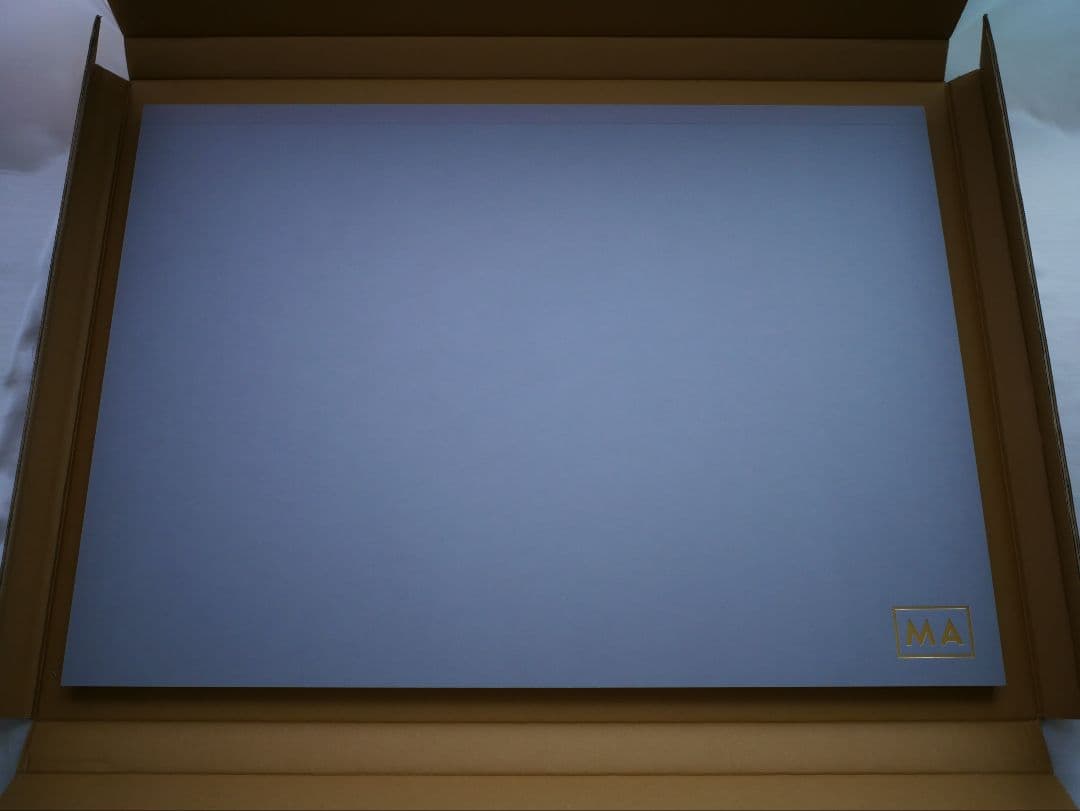 ワンピース　超希少品　20部限定　アート　2枚セット onepiece NFT