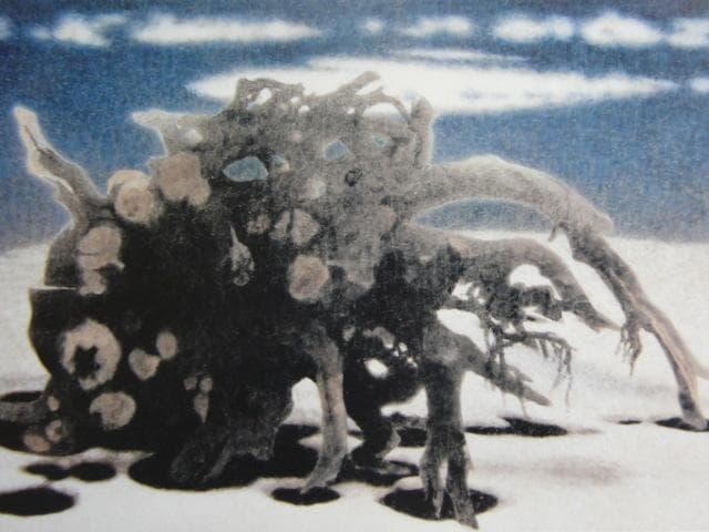 岩橋英遠、「根と雲たち」、希少な画集より、 新品高級額装付、日本人画家