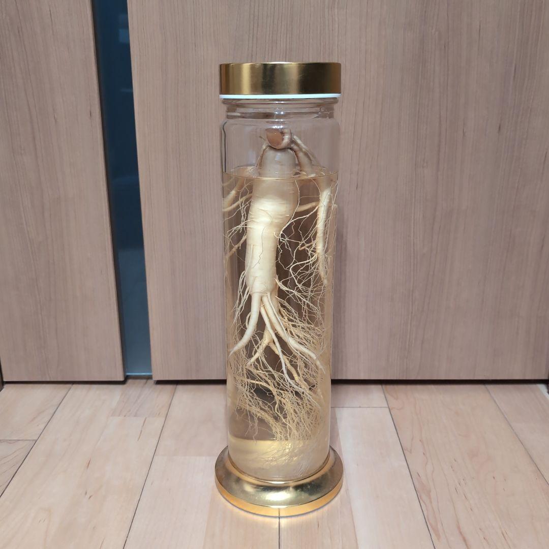 【値段相談可】高麗人参酒 希少古酒