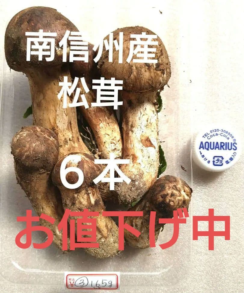 南信州産松茸165g（パック込み