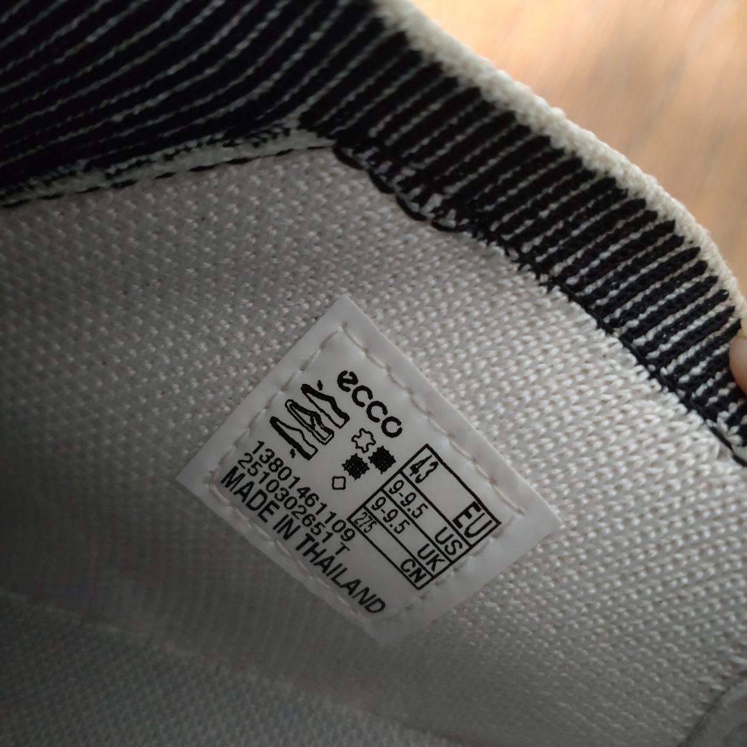 シューズ(男性用) ecco BIOM H5 43