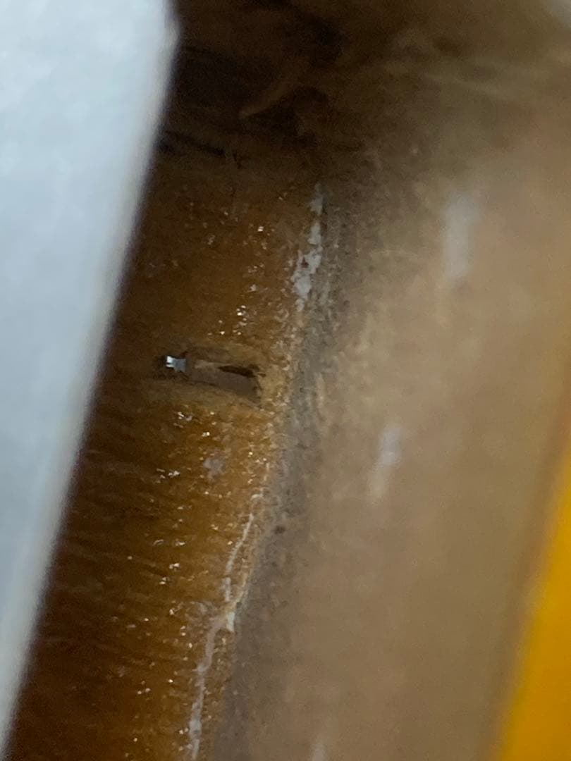 現状品 コンポギター MJTボディ allpartsネック ギブソンピックアップ