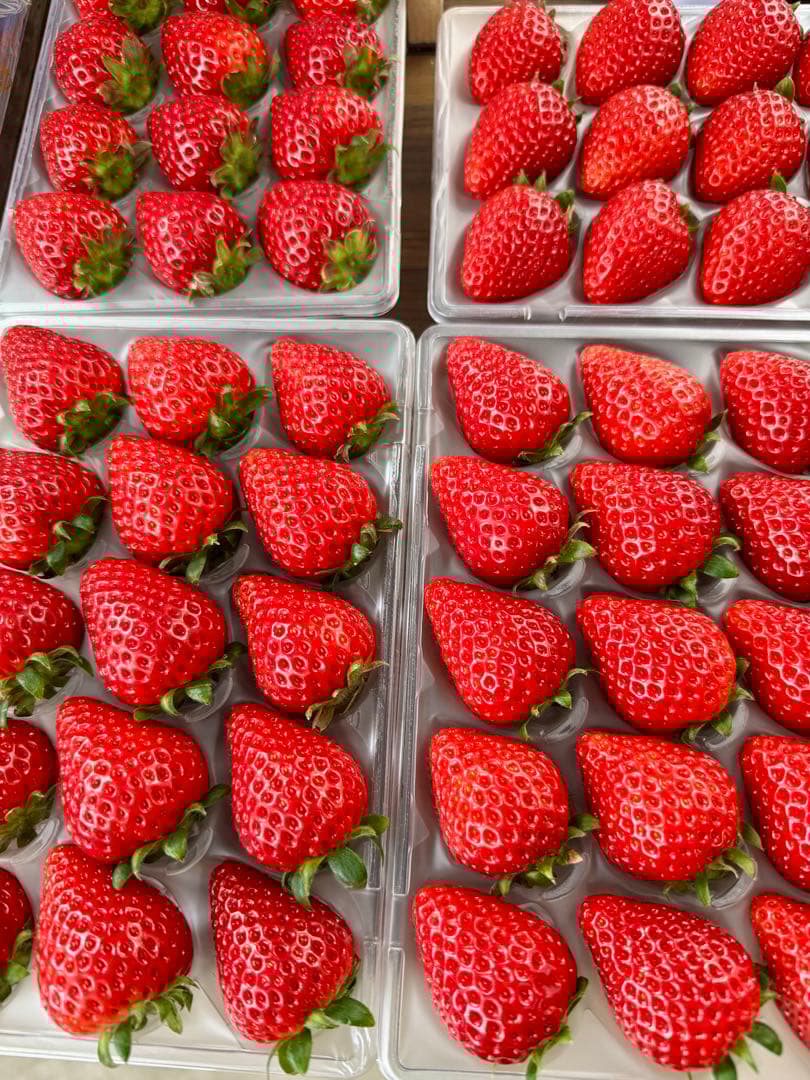 埼玉県プレミアムいちご あまりん&べにたま 食べ比べセット 4パック