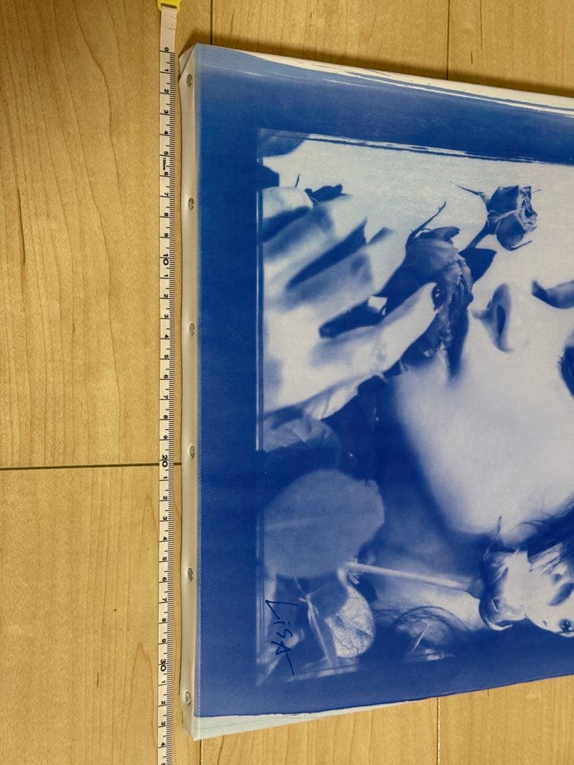 LiSA キャンバスアート