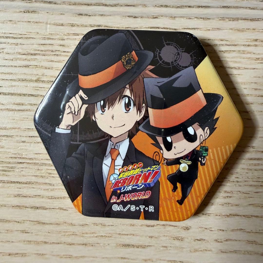 家庭教師ヒットマンREBORN! 缶バッジ J-WORLD ツナ