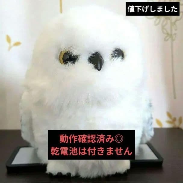 USJハリーポッターヘドウィグ肩乗せ