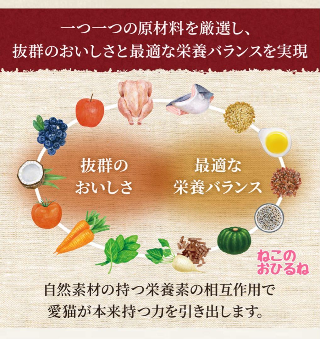 ニュートロシュプレモ　成猫用（白身魚&チキン）3kgパック×２袋　ラッキー商品♪