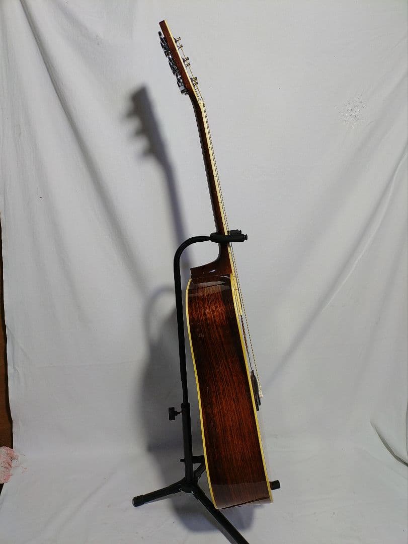 Humming　 Bird 　CUSTOM W-300 　　東海楽器