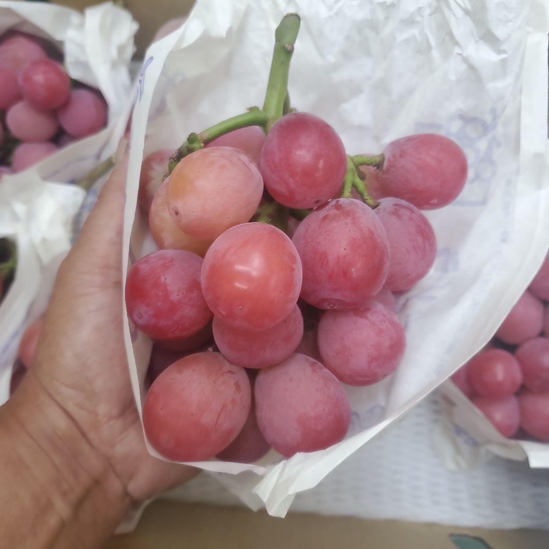 1⃣ 山梨県産 クイーンニーナ ７房入り 箱込み4.3キロ