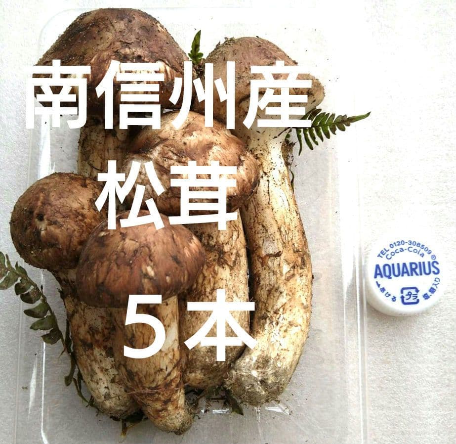 南信州産松茸約165g（パック込み）