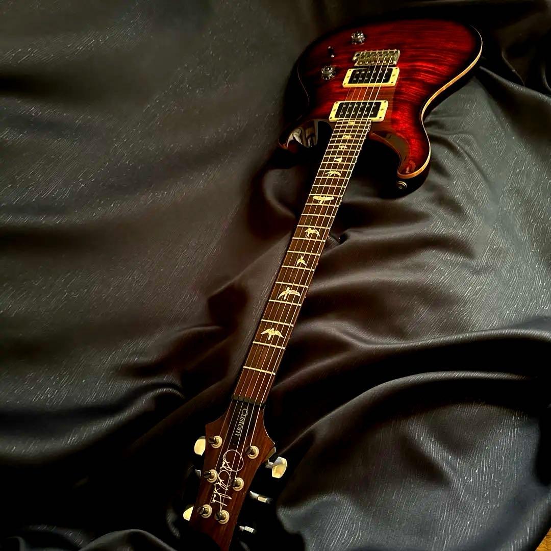 ギター Paul Reed Smith Custom24 10Top 2014