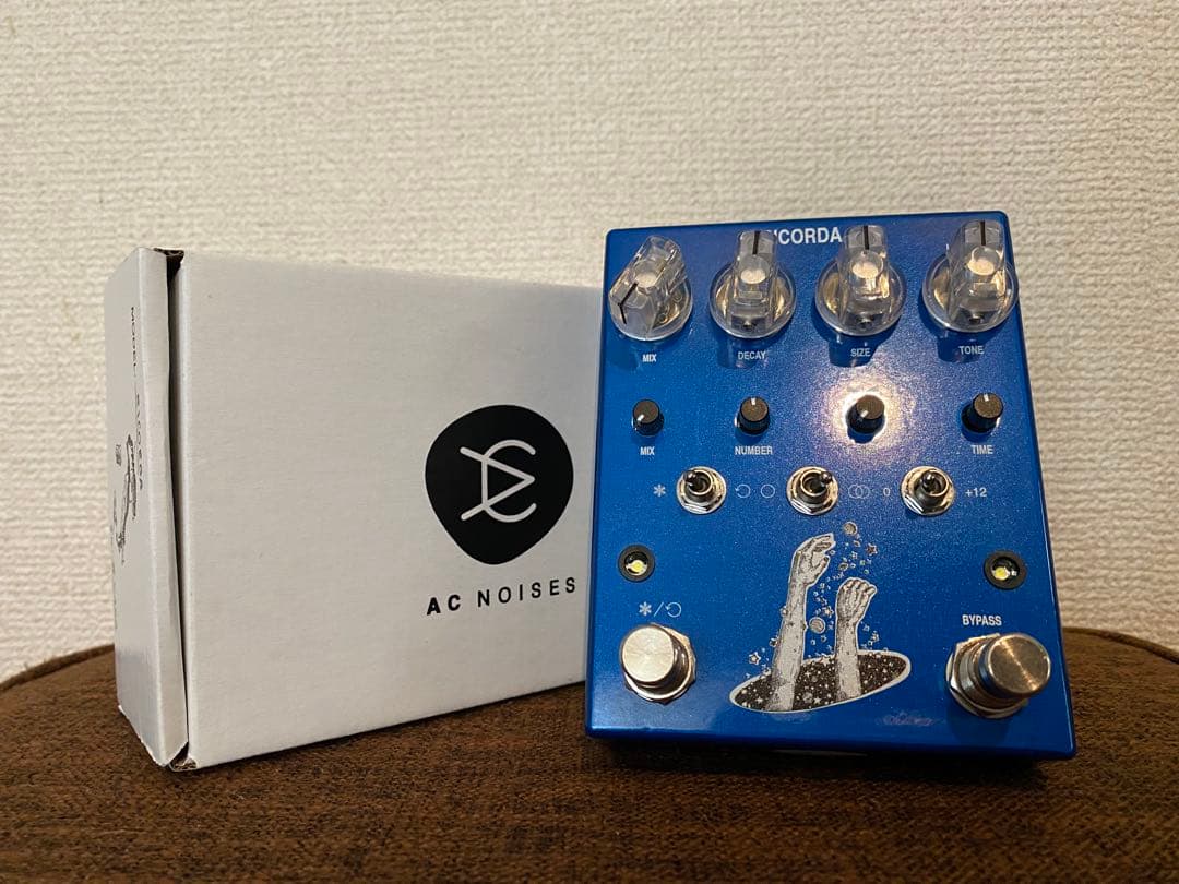 ギター AC Noises Ricorda