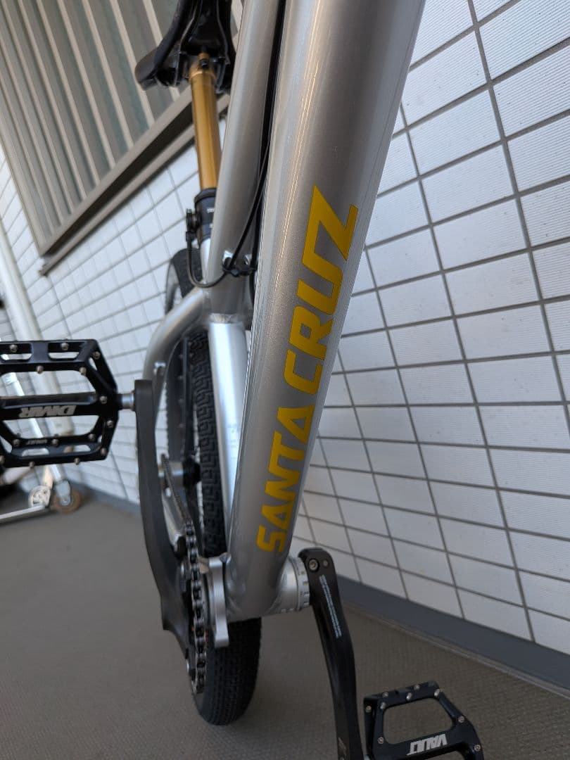 Santa Cruz Jackal　ジャッカル　2020シルバー