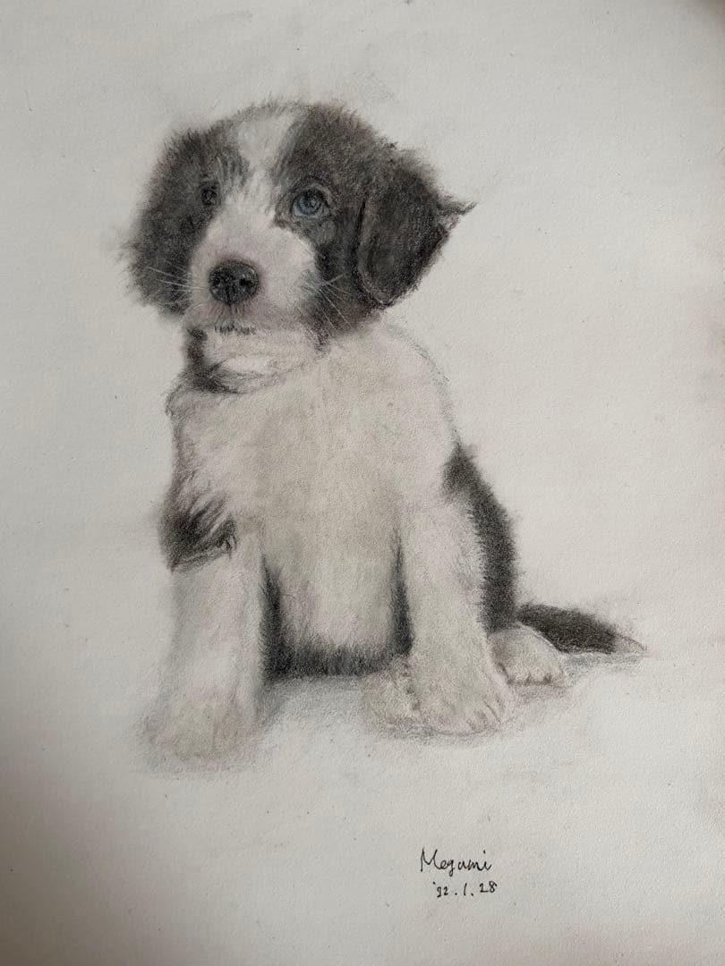 仔犬の色鉛筆画