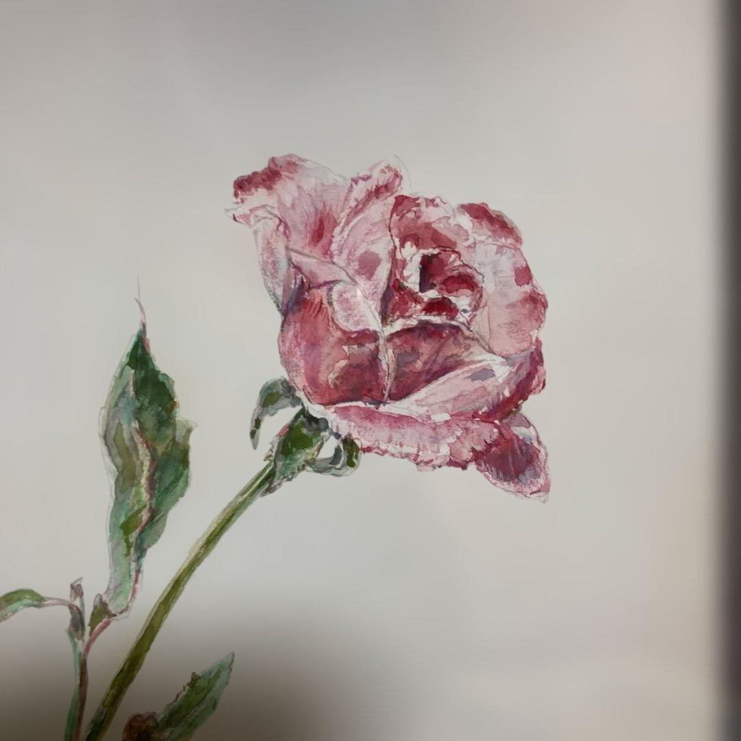 高級額　水彩画　薔薇