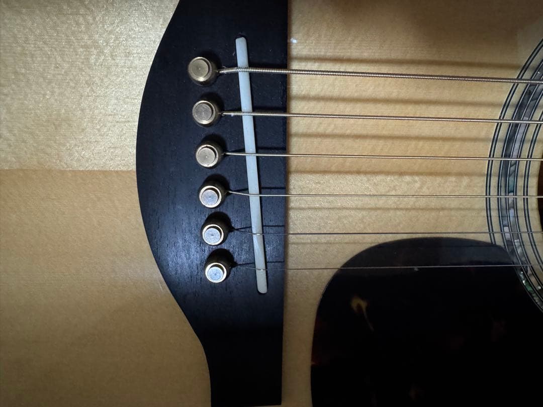 YAMAHA LL16D ARE(汎用ハードケース付き)