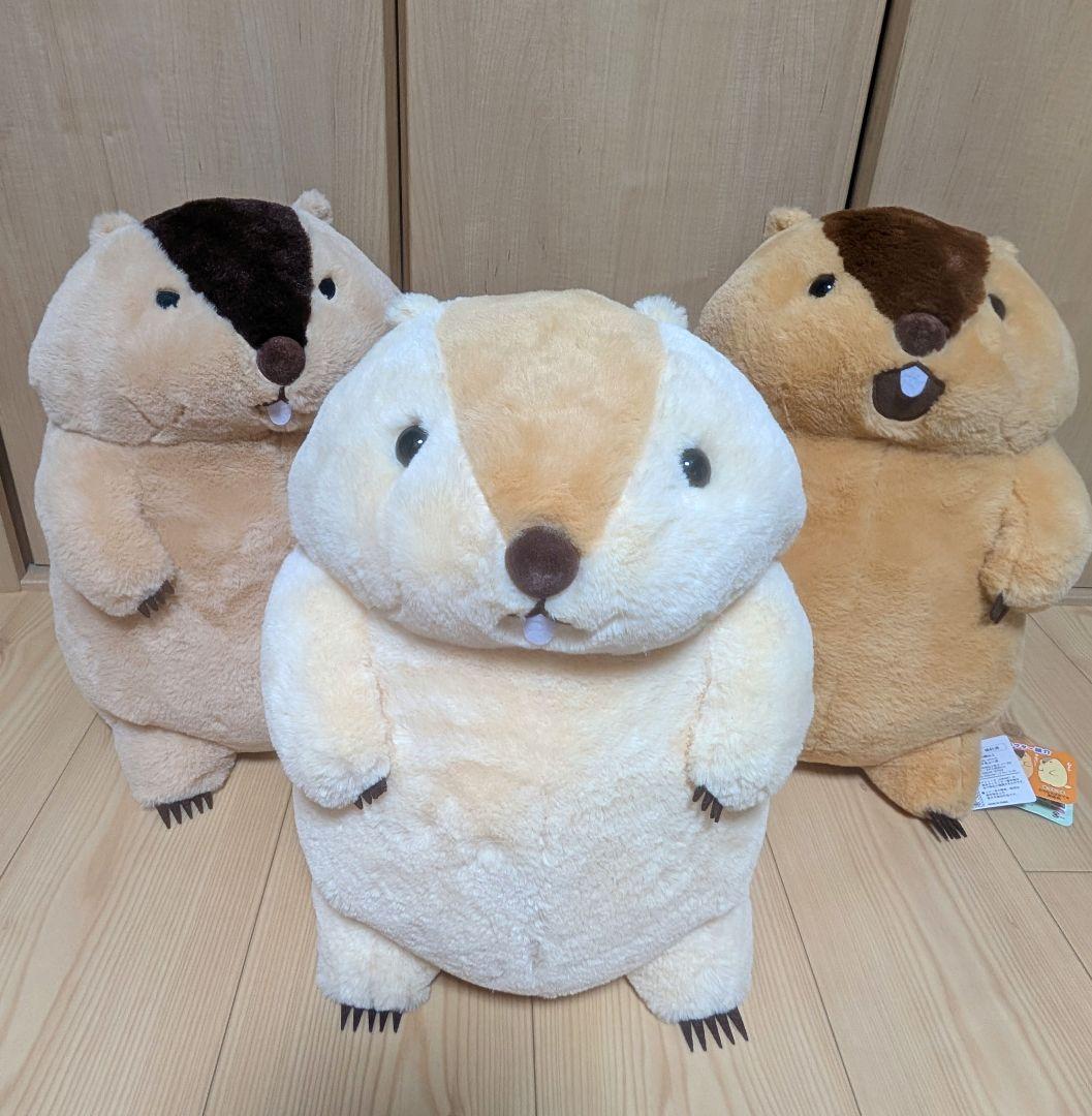 マーモットのもっとっと ウルトラBIGサイズ３点セット