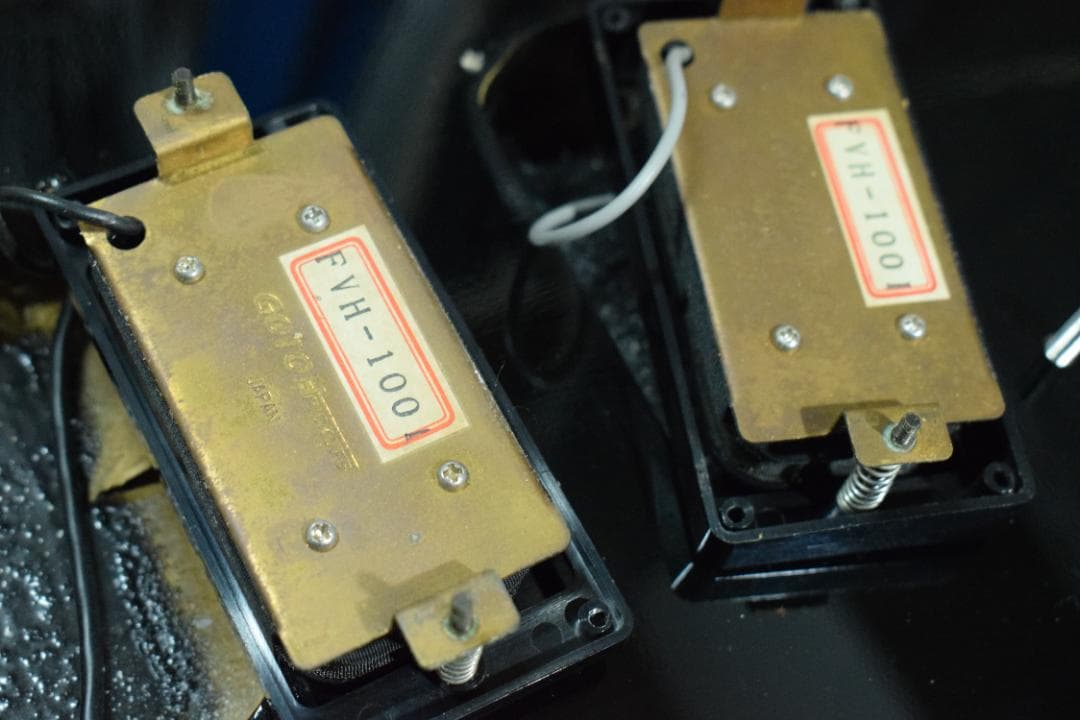 Burny Fernandes LG-480 SLG-50 ソフトケース付