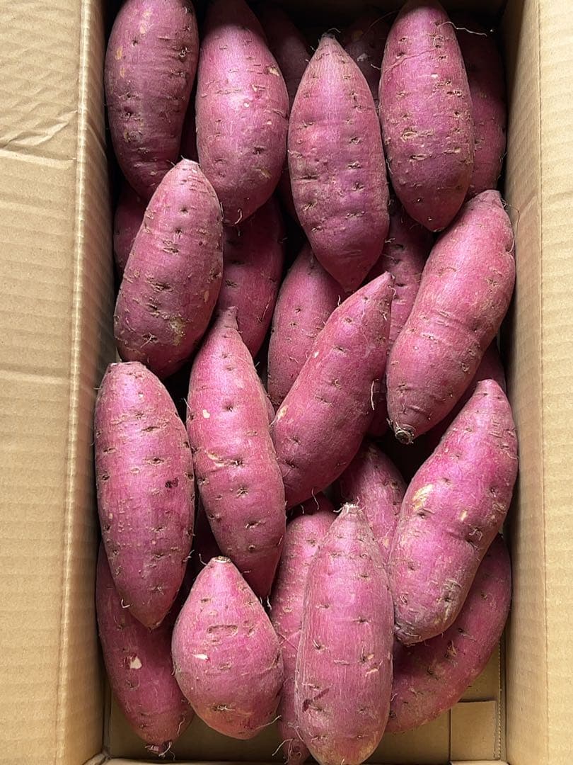 鹿児島県産 新芋 紅はるかA品 箱込20キロ M〜Lサイズ