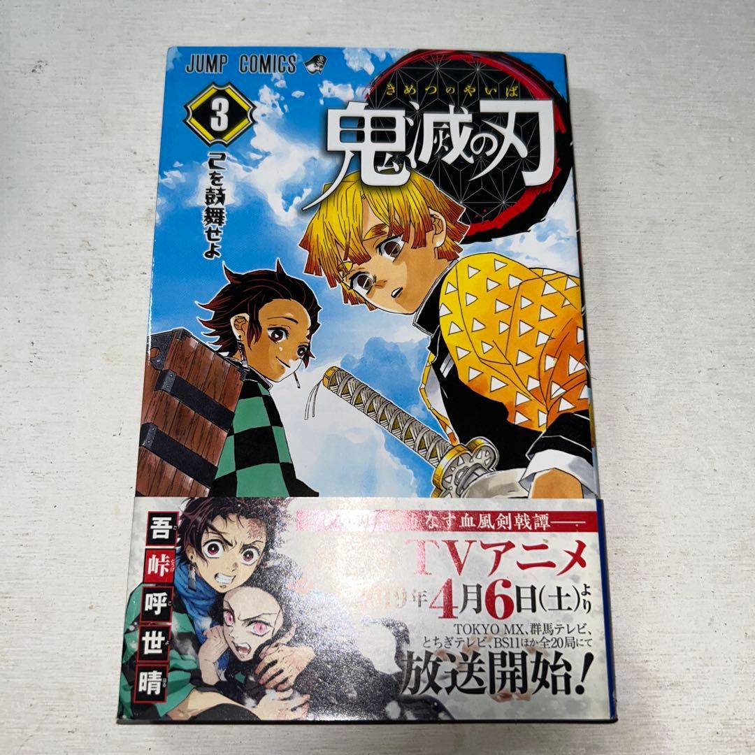 鬼滅の刃ポスター2枚&Jコミックス1〜10巻&劇場版無限列車編我妻善逸カップ&枕