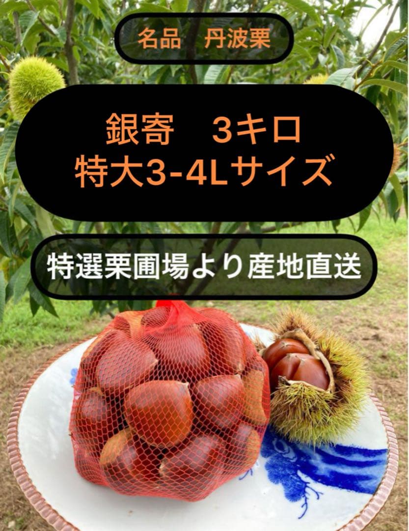 大石唯方さま注文品　特選丹波栗　特大3-4Lサイズ　3kg 銀寄