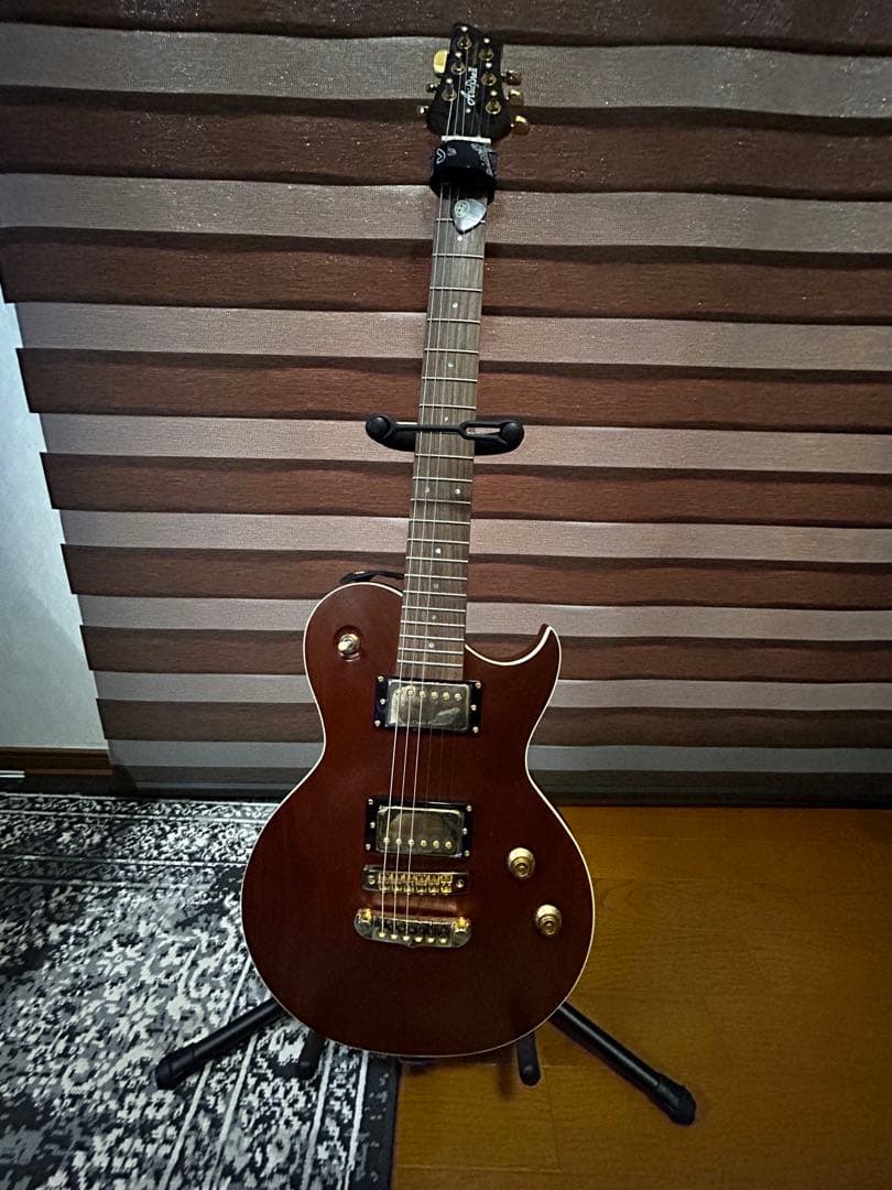 Aria Pro ll アリアプロ2 オールマホガニー レスポールタイプ