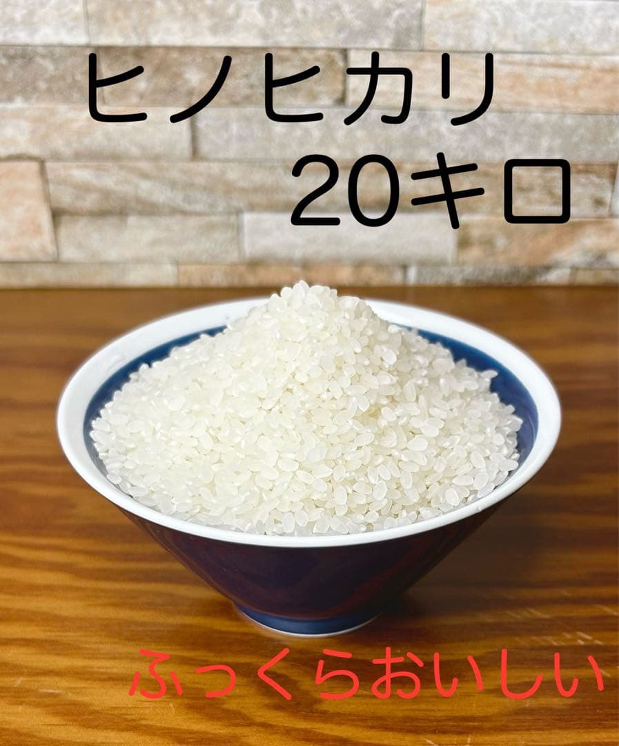 【農家直送】ふっくらおいしいヒノヒカリ「20キロ」令和6年産