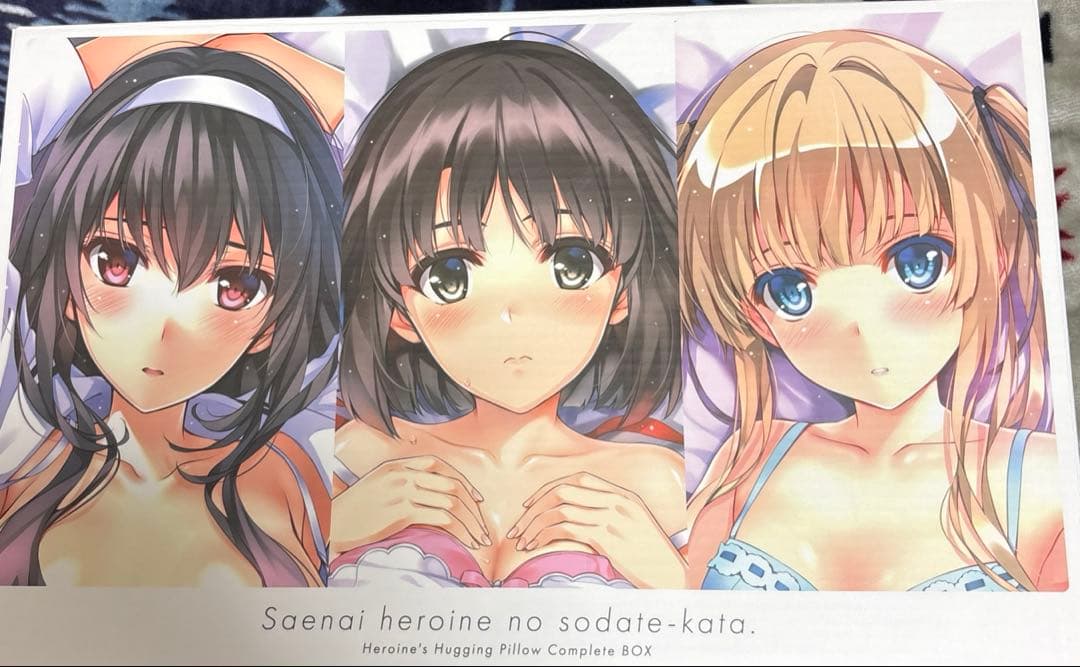 冴えない彼女の育てかた ヒロインコンプリート 抱き枕カバー BOX