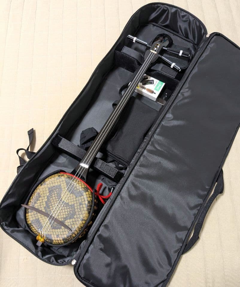 【送料無料】沖縄三線 ヘビ柄 3弦 ケース、付属品、テキスト2冊付き
