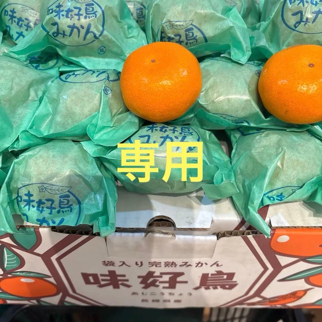 専用2箱 味好鳥' 袋掛けみかん '中サイズ JAながさき県央