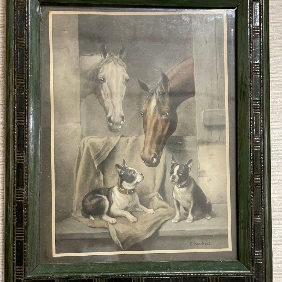 イギリス 動物 銅版画 カラー 約27cm x 28.8cm アンティーク