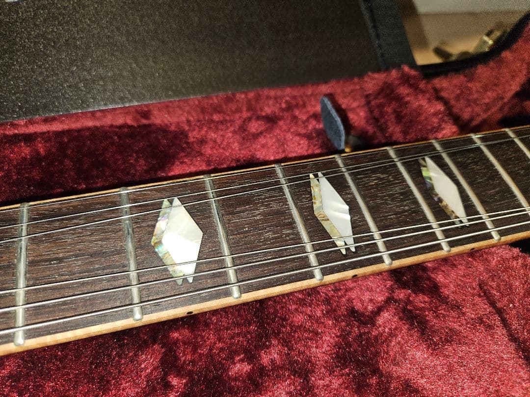 ギター FUJIGEN / Expert FLAME(EFL)