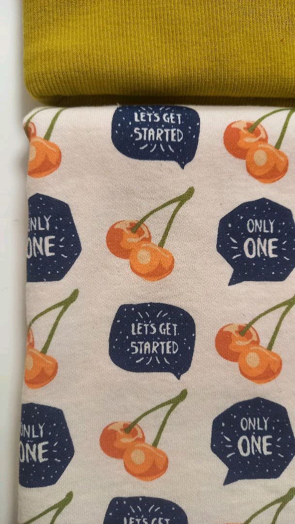 オレンジチェリーの犬の服