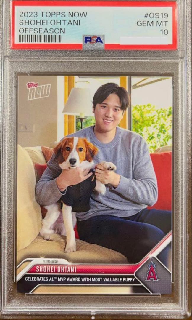 【PSA10】大谷翔平 デコピン MVPカード 2023【24時間限定発売】