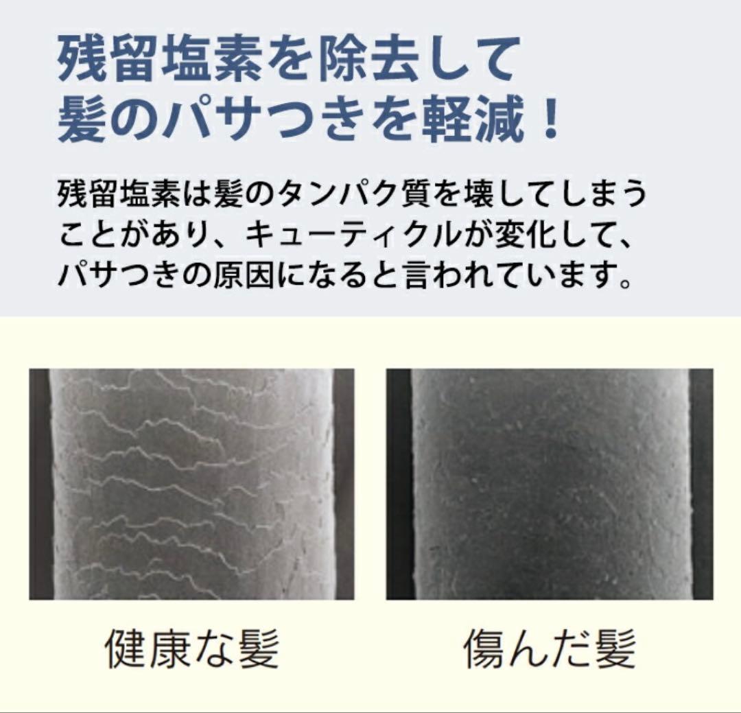 浄水ウルトラファインバブルシャワーヘッド クリンスイ SM302-WT